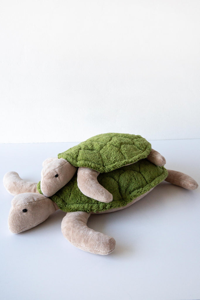 Cuddly Turtle