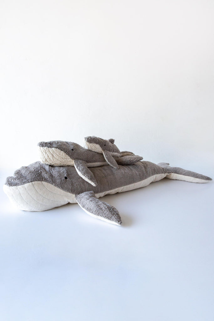 Cuddly Whale