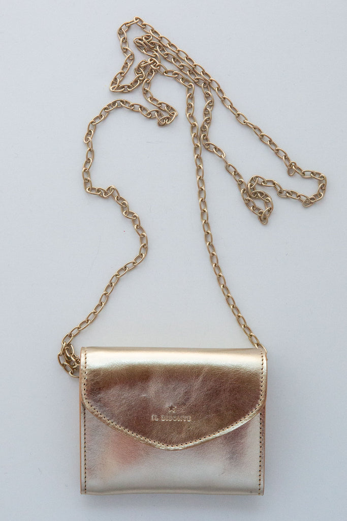 Card Case with Chain