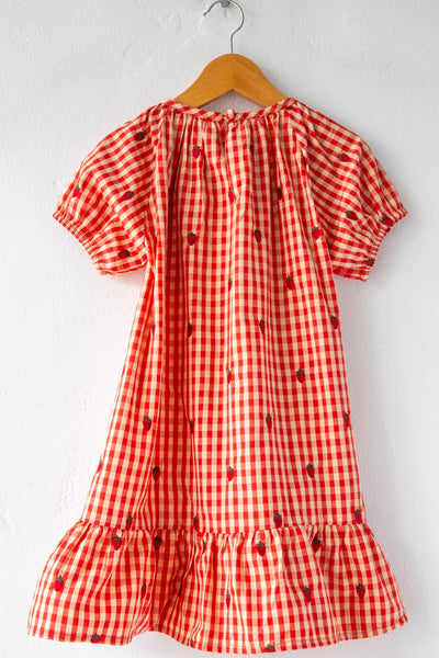 Molly Gingham Dress – Lost & Found