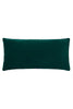 Ivy Cushion