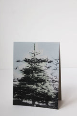 Holiday Tree Cards/Set 4