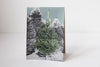 Holiday Tree Cards/Set 4