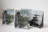 Holiday Tree Cards/Set 4