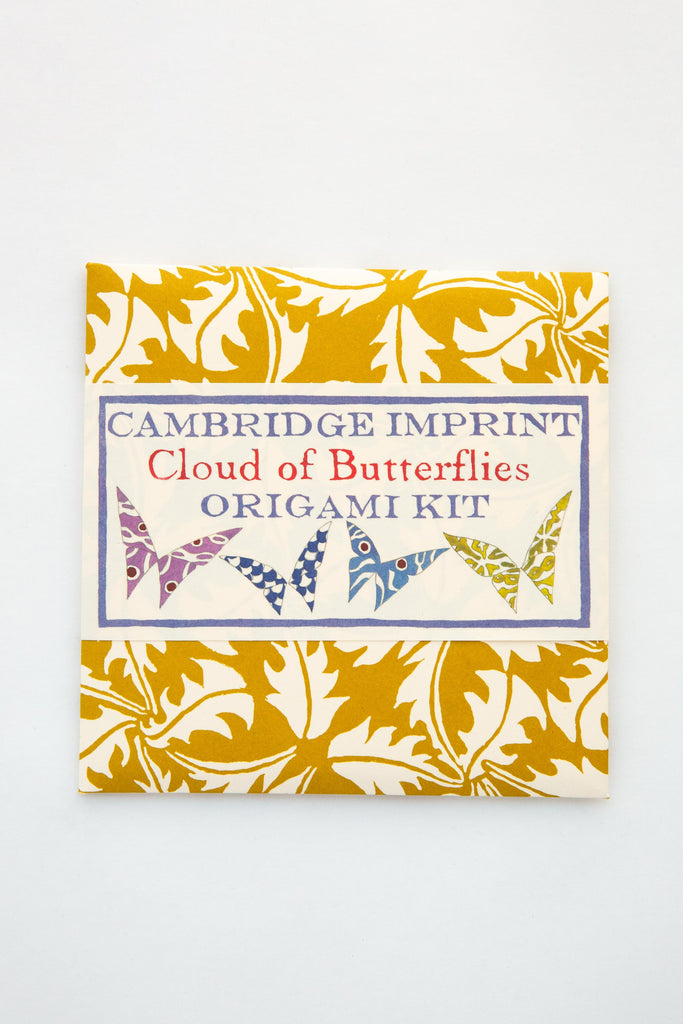 Origami Butterflies Kit