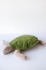 Cuddly Turtle