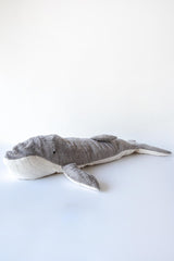 Cuddly Whale