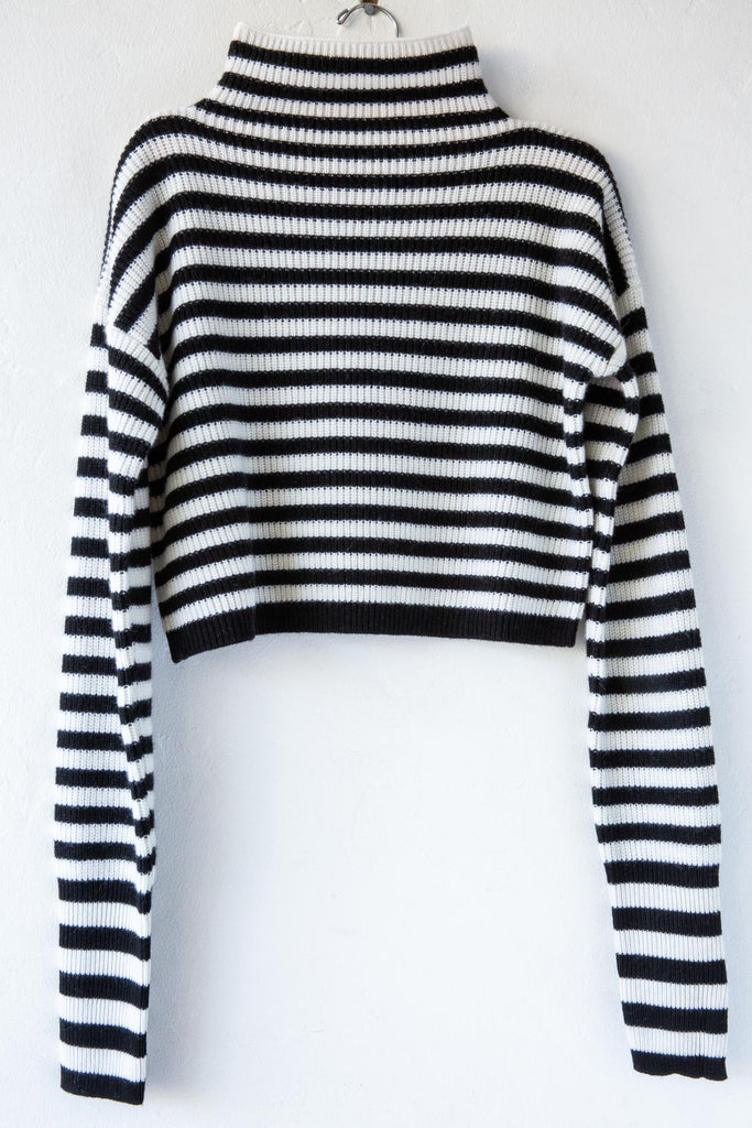 Crop Stripe Turtleneck