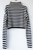 Crop Stripe Turtleneck