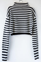 Crop Stripe Turtleneck