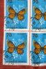 Butterfly Stamp Bandana
