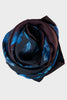 Eva Belle Silk Scarf