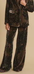 Portico Velvet Pant