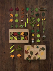 Woodland Leaves Set